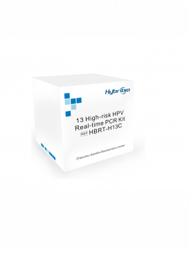 Bộ kit xác định 13 kiểu gen HPV Real-time PCR - 13 High-risk HPV Real-time PCR Kit